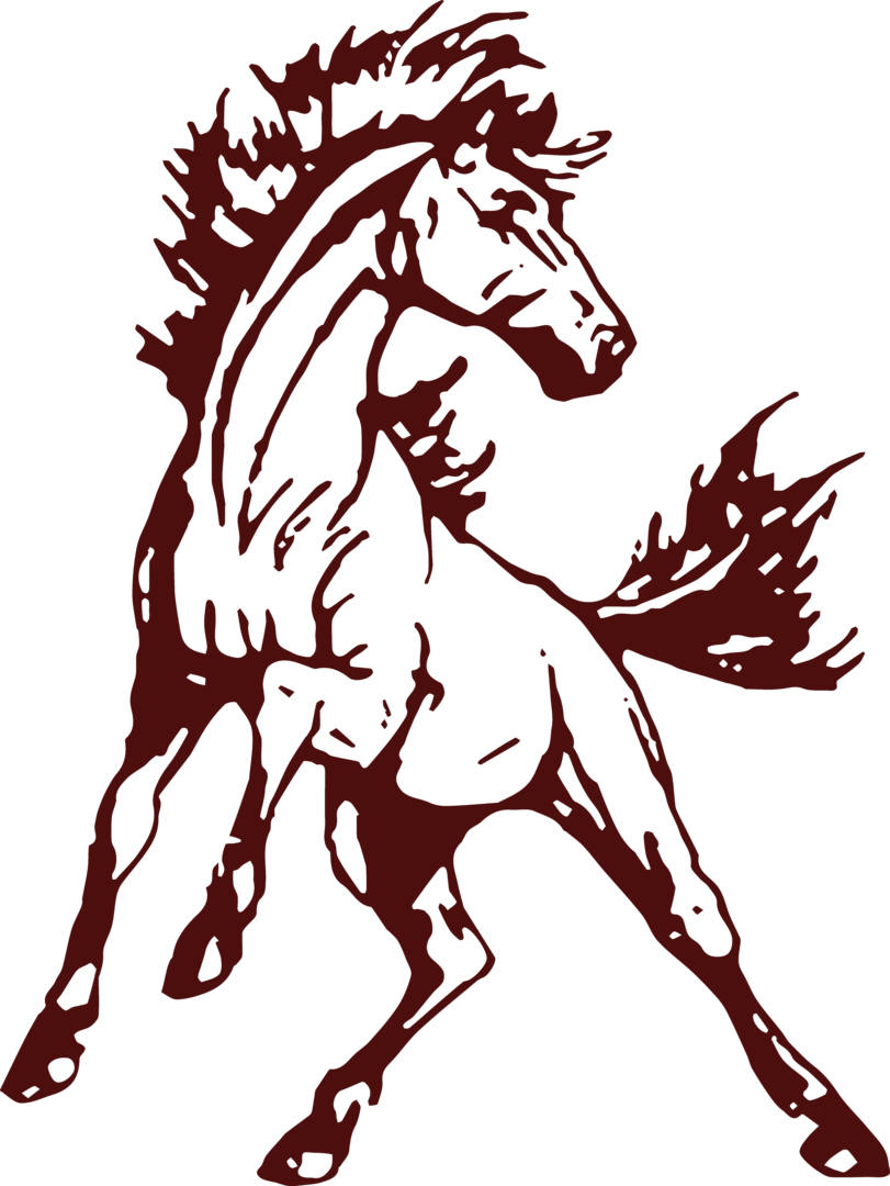 Shenandoah Community School District IGNITE Program